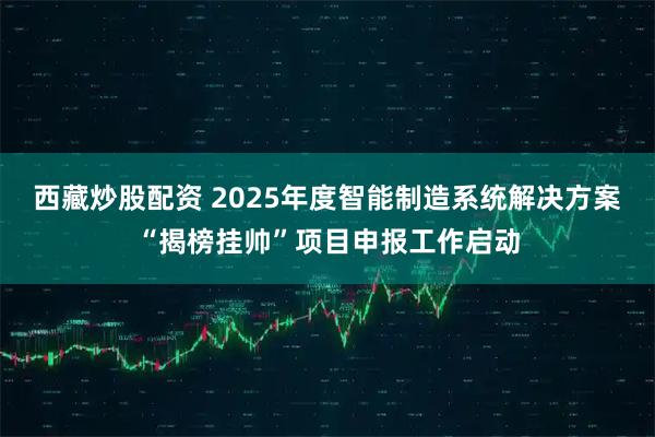 西藏炒股配资 2025年度智能制造系统解决方案“揭榜挂帅”项目申报工作启动