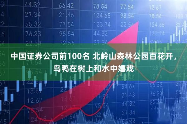 中国证券公司前100名 北岭山森林公园百花开，鸟鸭在树上和水中嬉戏